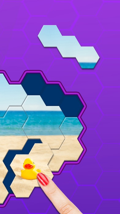 Hexa Jigsaw Puzzle ® screenshot 1