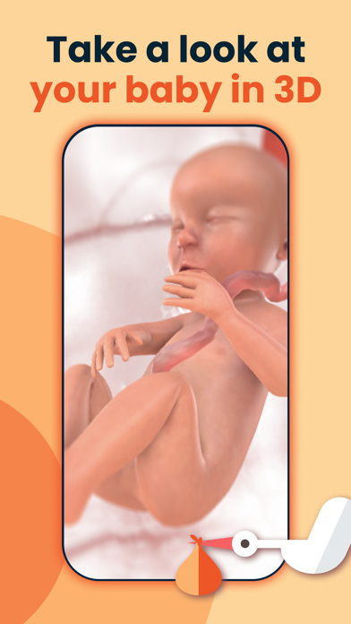 HiDaddy - pregnancy for Dads screenshot 1