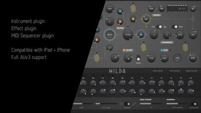Hilda Synthesizer screenshot 2