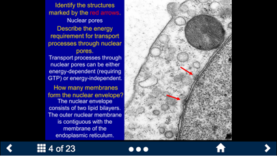 Histology - Basic Tissues screenshot 3