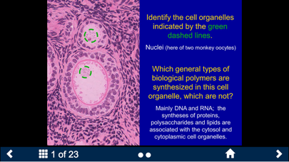 Histology - Basic Tissues screenshot 4