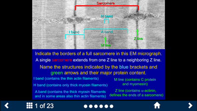 Histology - Basic Tissues screenshot 1