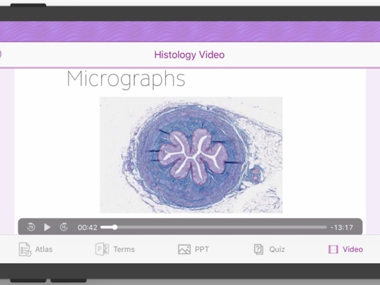 Histology Cell Tissue screenshot 3