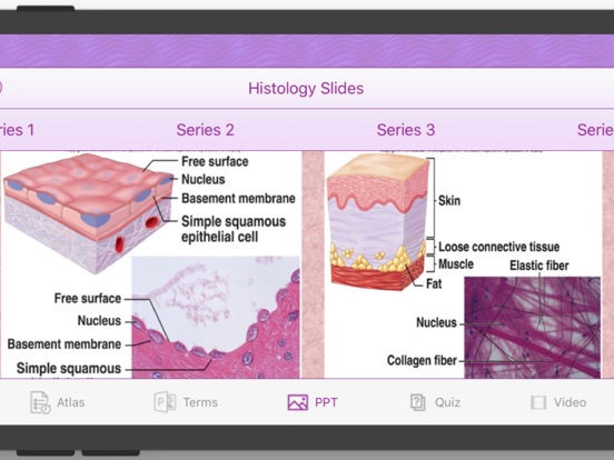 Histology Cell Tissue screenshot 4