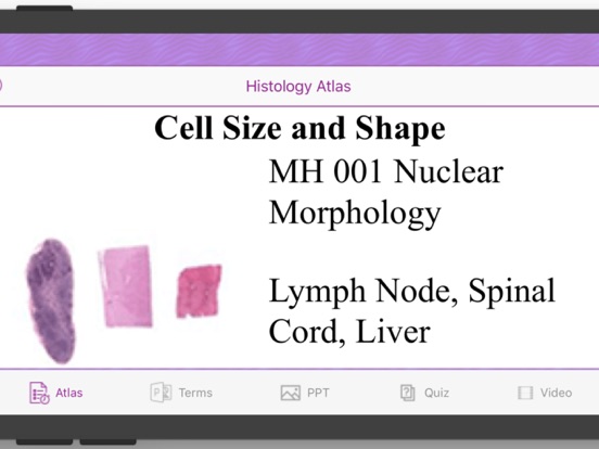 Histology Cell Tissue screenshot 5