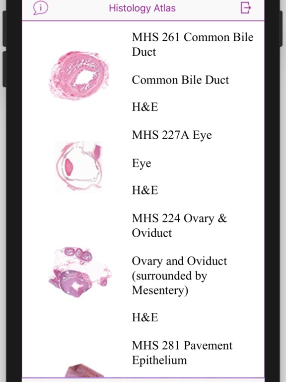 Histology Cell Tissue screenshot 10
