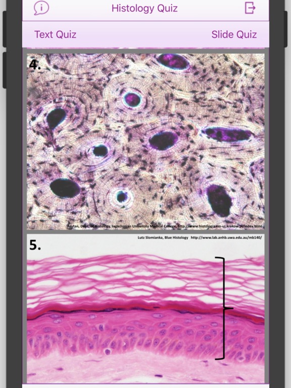 Histology Cell Tissue screenshot 8