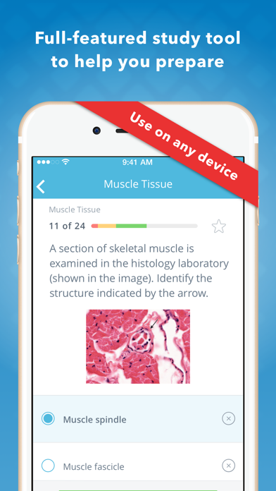 Histology: USMLE Q&A Review screenshot 2