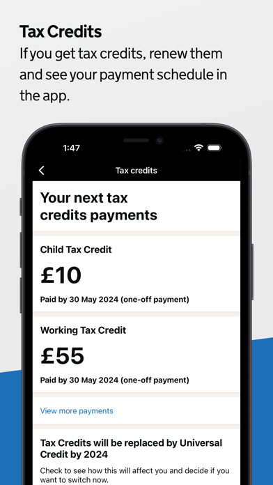 HMRC screenshot 5