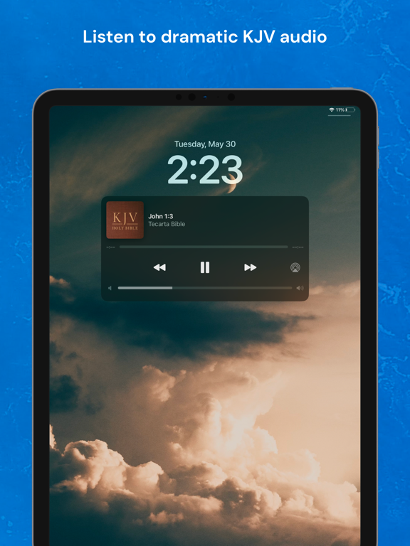 Holy Bible King James + Audio screenshot 5