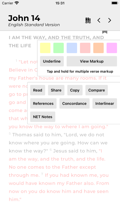 Holy Bible screenshot 2