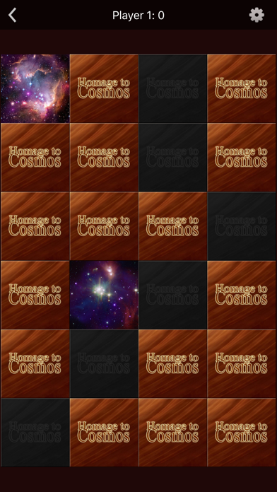 Homage to Cosmos screenshot 2