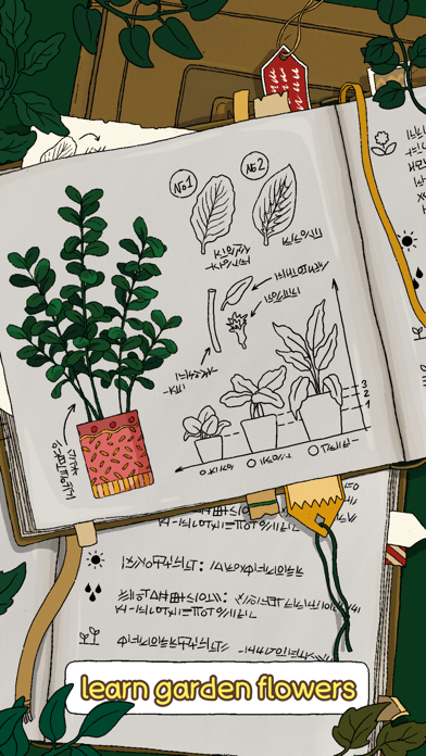 Home Garden Lulu & Terrarium screenshot 5