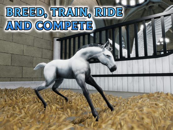 Horse Academy: Ride & Compete screenshot 6