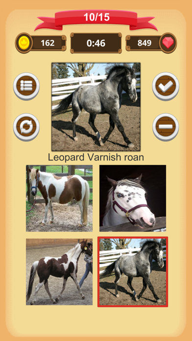 Horse Coat Colors - Quiz screenshot 2