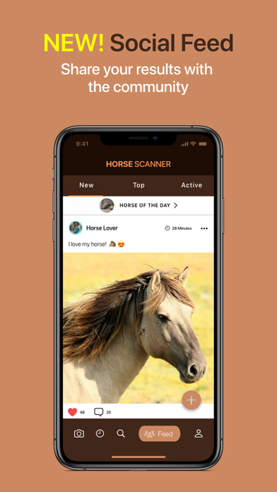 Horse Scanner screenshot 7