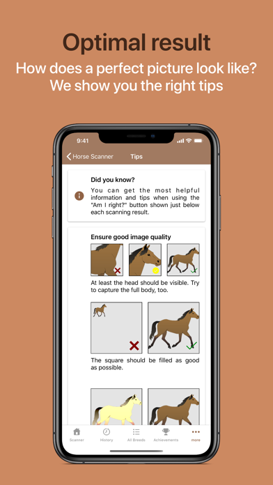 Horse Scanner screenshot 1