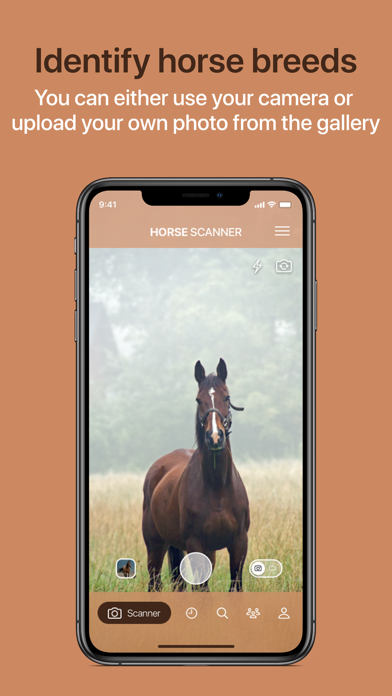 Horse Scanner screenshot 10