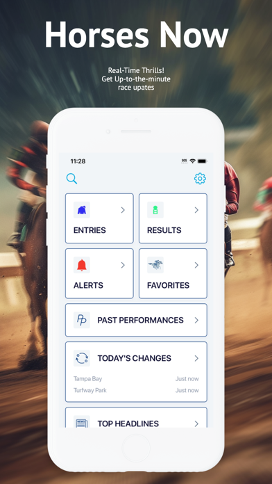 HorseRacesNow screenshot 3