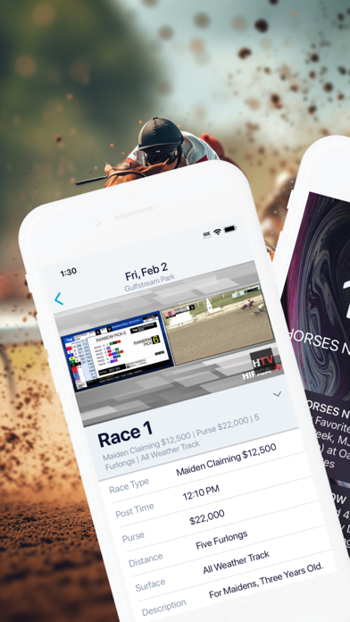 HorseRacesNow screenshot 2