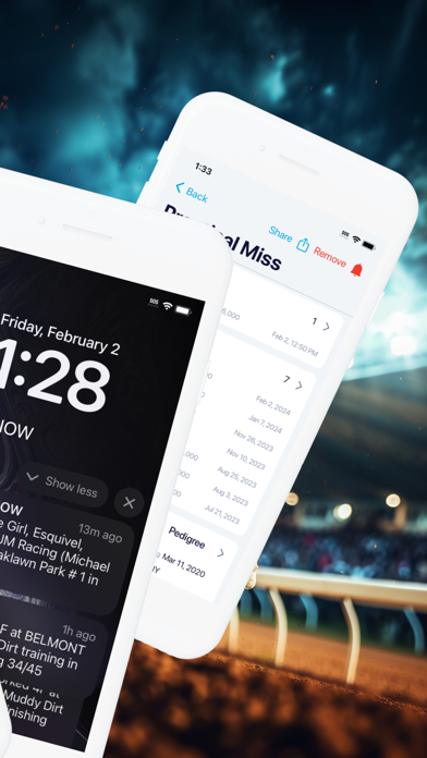 HorseRacesNow screenshot 1