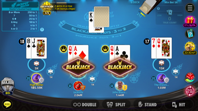 House of Blackjack 21 screenshot 5
