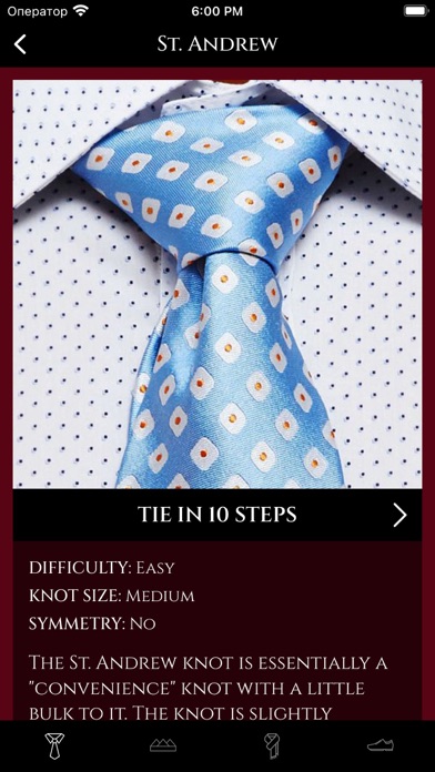 How To Tie a Tie ⁺ screenshot 2