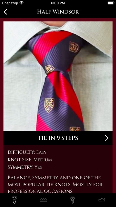 How To Tie a Tie ⁺ screenshot 1