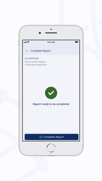 Hub Report Editor screenshot 1