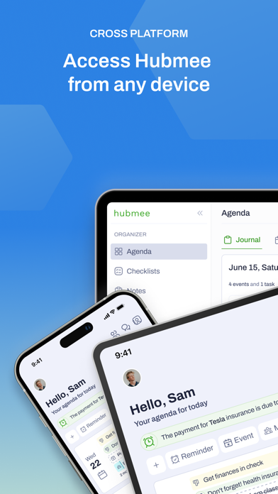 Hubmee: AI Personal CFO screenshot 1