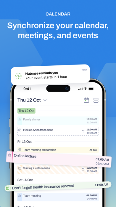 Hubmee: AI Personal CFO screenshot 4