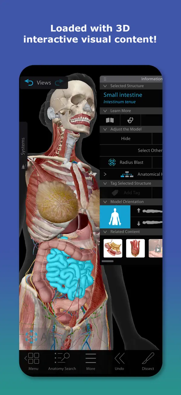 Human Anatomy Atlas 2026 screenshot 4