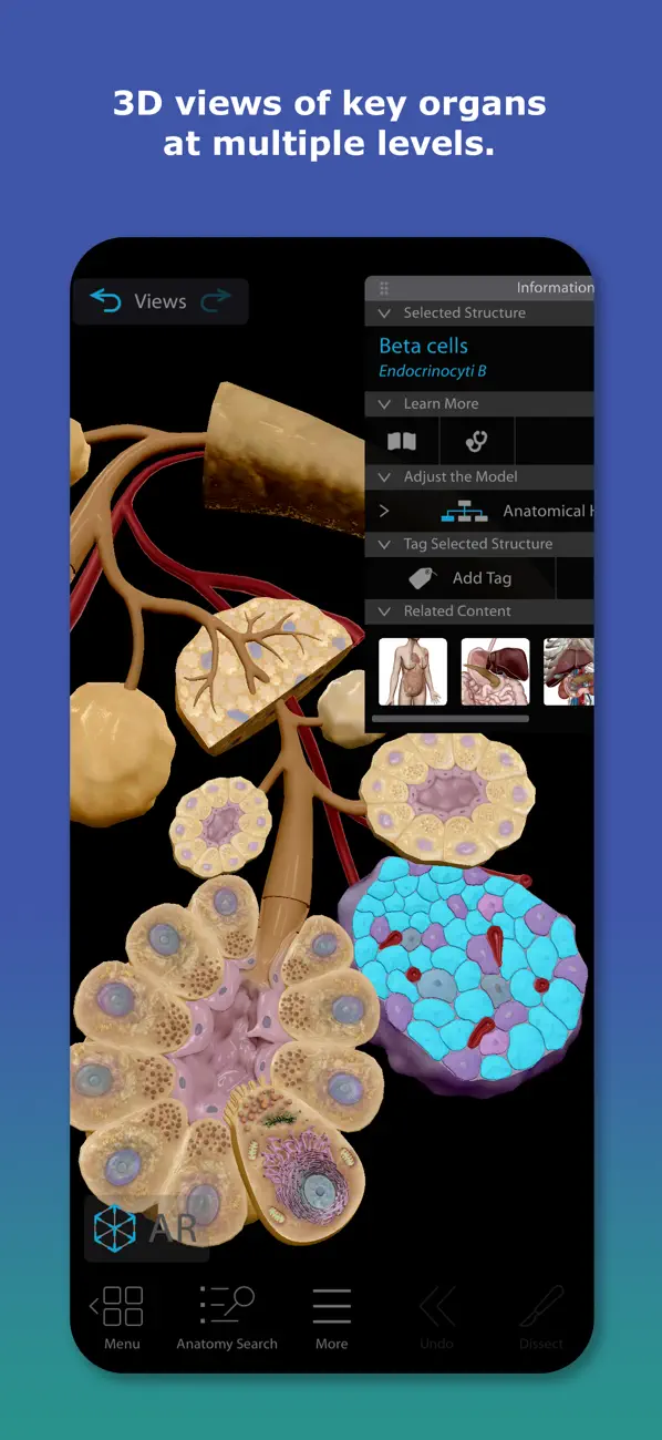 Human Anatomy Atlas 2026 screenshot 3