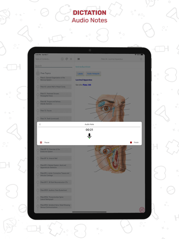 Human Anatomy Atlas + screenshot 1