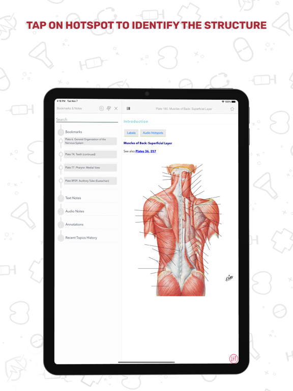 Human Anatomy Atlas + screenshot 8