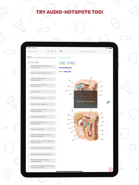 Human Anatomy Atlas + screenshot 6