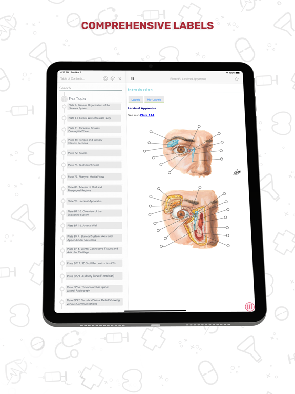 Human Anatomy Atlas + screenshot 7