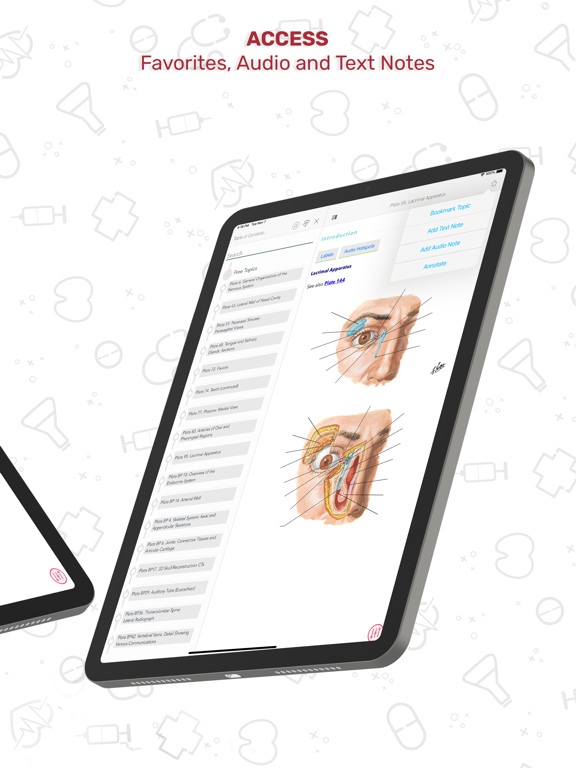 Human Anatomy Atlas + screenshot 3