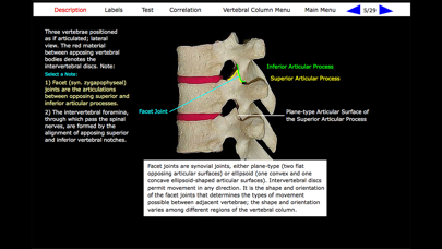 Human Skeleton: Gross Anatomy screenshot 9
