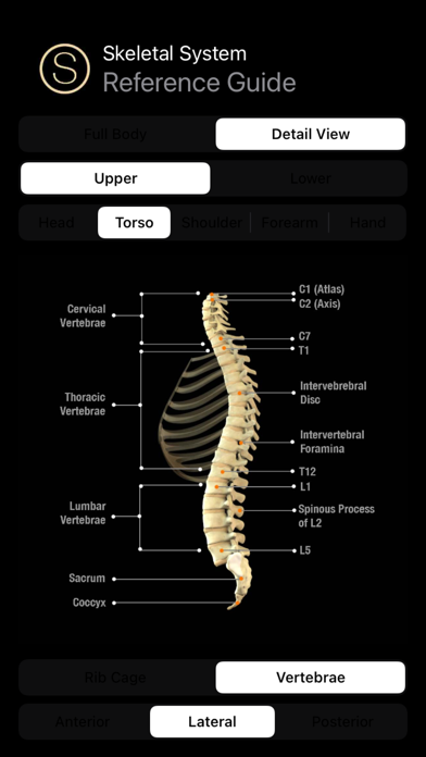 Human Skeleton Reference Guide screenshot 4