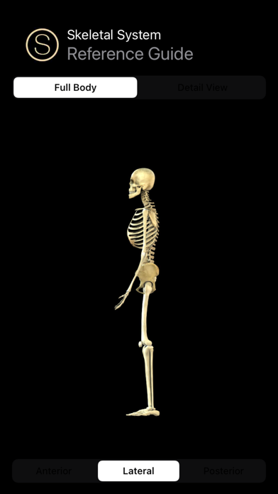 Human Skeleton Reference Guide screenshot 3