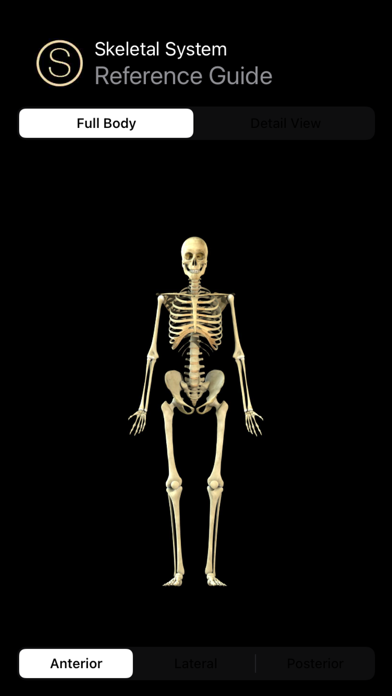 Human Skeleton Reference Guide screenshot 5