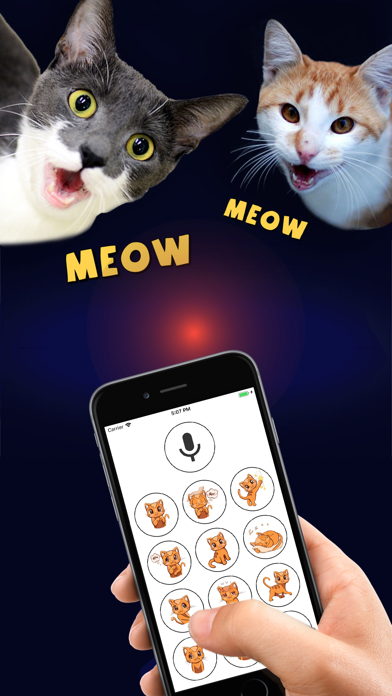 Human to Cat Translator screenshot 3