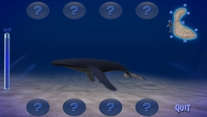 Humpback Whale screenshot 1