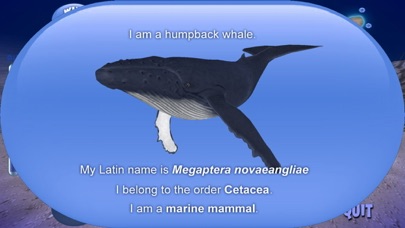 Humpback Whale screenshot 2