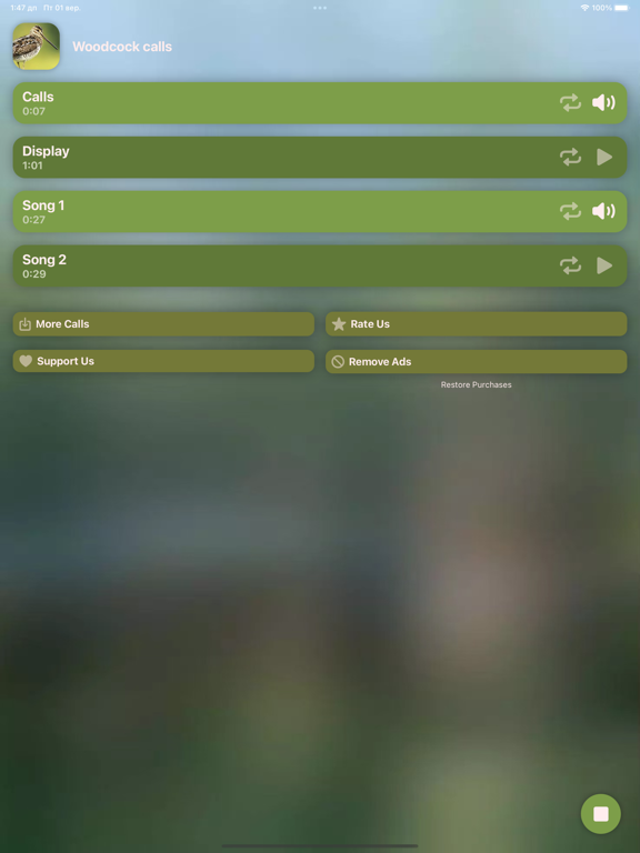 Hunting Calls: Woodcock screenshot 2