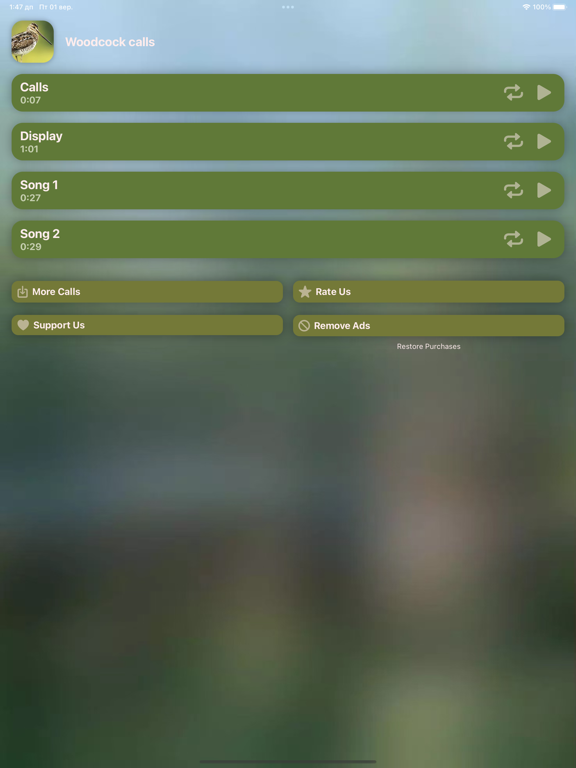 Hunting Calls: Woodcock screenshot 3