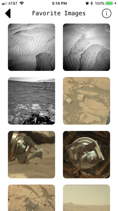 I Am Rover screenshot 2