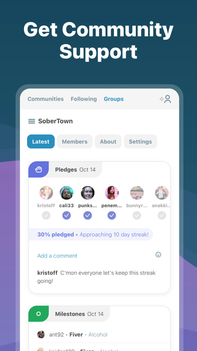 I Am Sober screenshot 4