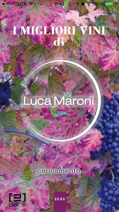 i Migliori Vini di Luca Maroni screenshot 5